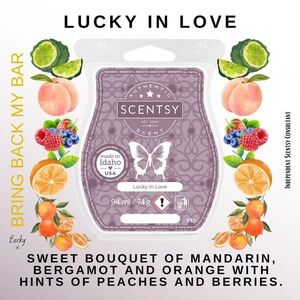 Scentsy Lucky in Love, wax bar melts